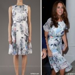 kate erdem dress