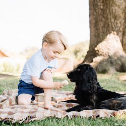 Four new pictures of Prince George released to celebrate his third birthday