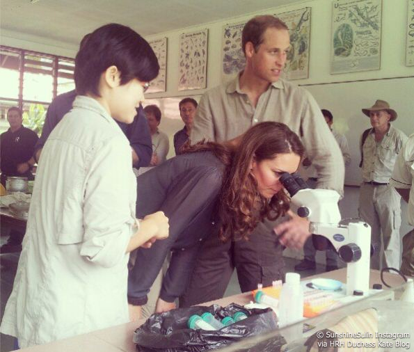 kate looks through a microscope in the rainforest