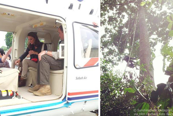 kate and will in the rainforest, borneo