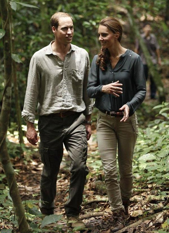 will kate rainforest