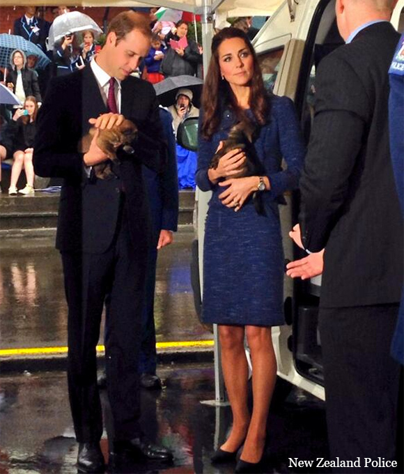 William and Kate with the puppies