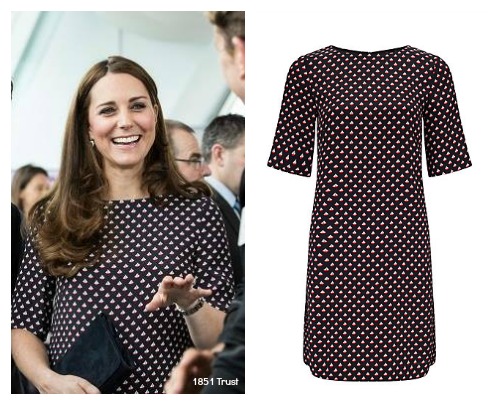 Kate's Boat Print Dress