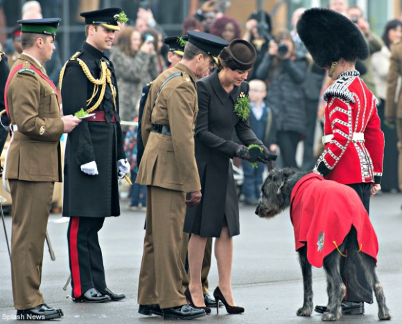 Duchess of Cambridge pins shamrocks on Domhnall, the Irish Wolfhound at the St Patrick's Day parade at Mons Barracks, Aldershot