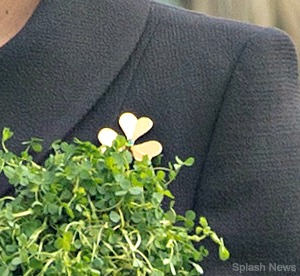 Shamrock Brooch