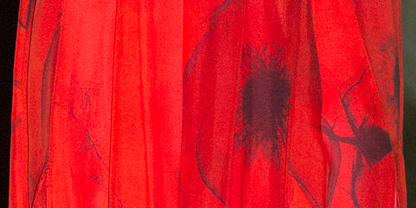 Poppy print detail