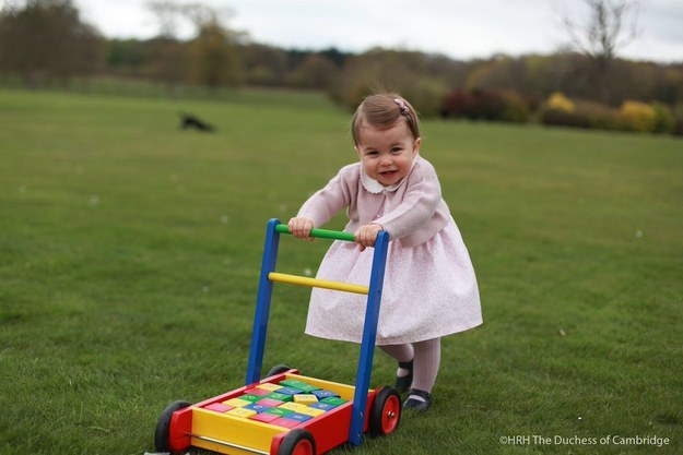 Princess Charlotte's first birthday photos