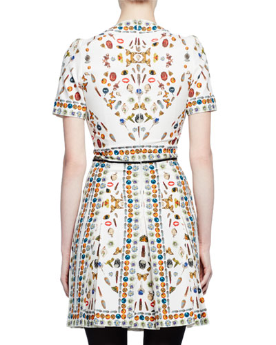 Alexander McQueen Obsession Print Dress - back