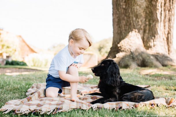 Prince George feeds ice cream to pet dog Lupo