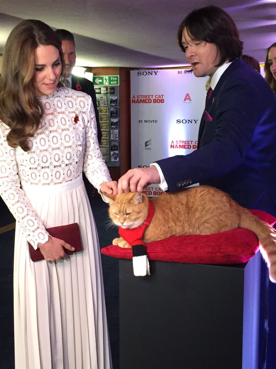 Kate Middleton stroking Street Cat Bob