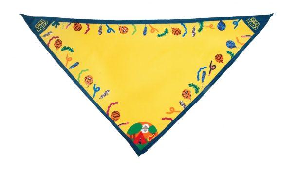 cubs100 scarf