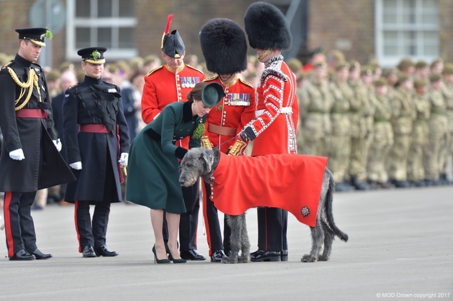 William and Kate hand out shamrocks to the Irish Guard to celebrate St Patrick's Day 2017