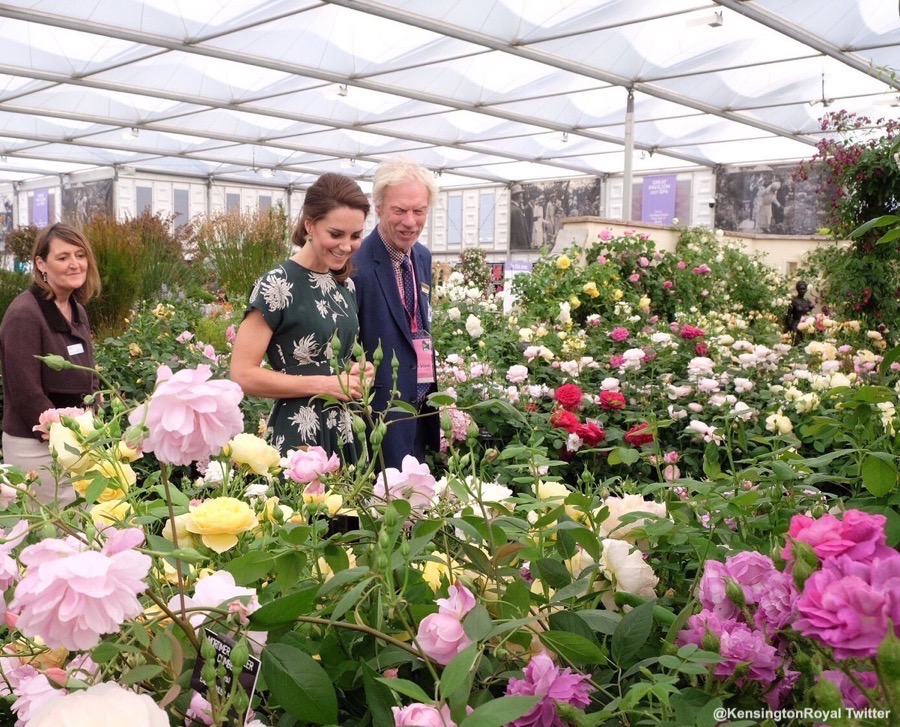 Kate Middleton attends the Chelsea Flower Show 2017