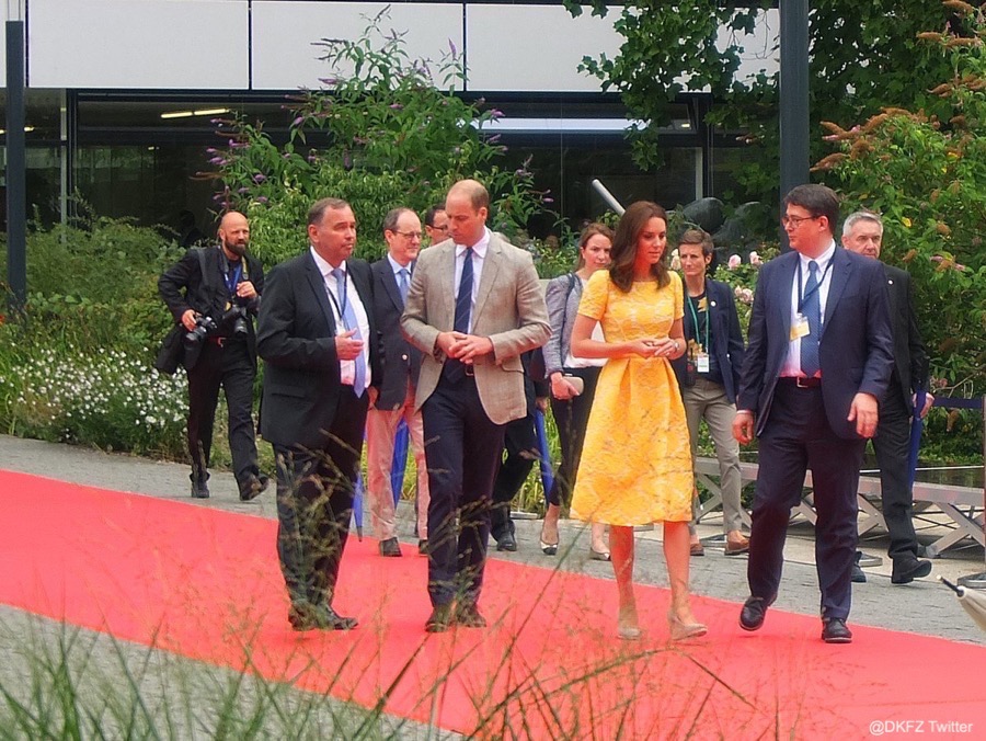 Kate Middleton in Yellow Lace Dress for Traditional Market Visit in  Heidelberg