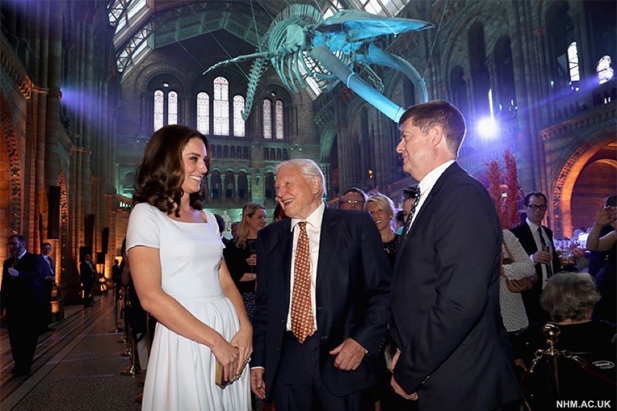 Kate with David Attenborough and the Director of the NHM at the whale unveiling
