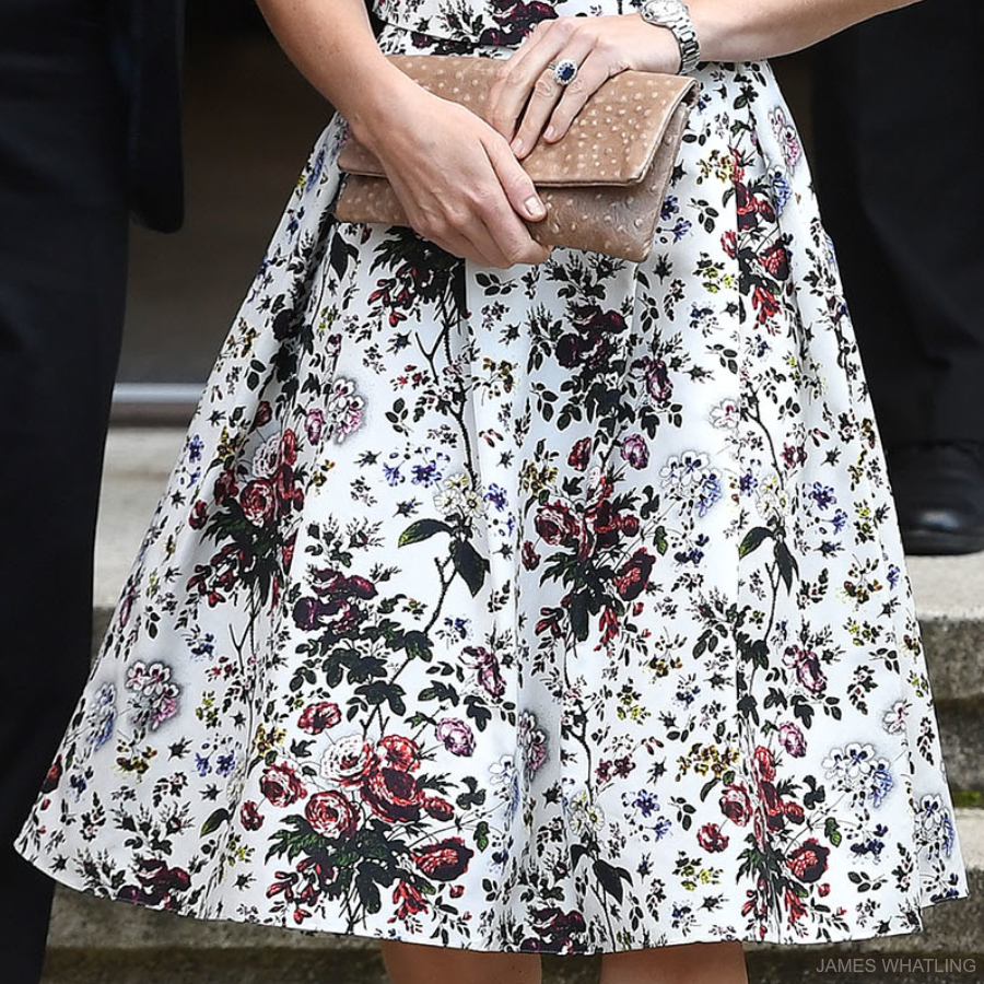 Erdem Imari Skirt