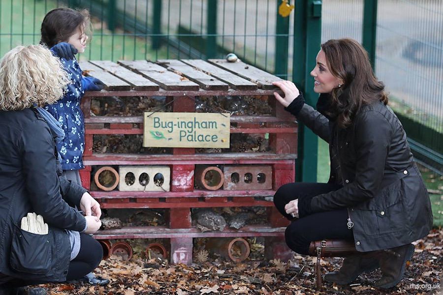 Her Royal Highness, The Duchess of Cambridge, visits a London school to mark the anniversary of the RHS Campaign for School Gardening