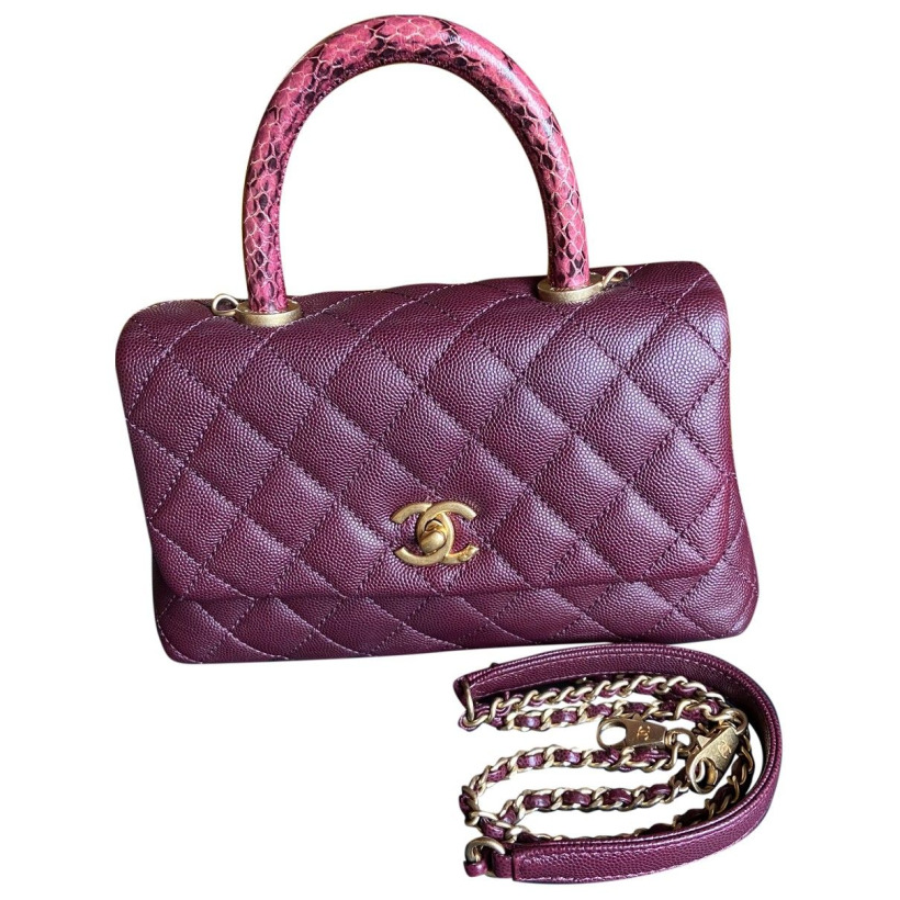 Chanel Coco Bag in Burgundy with Snakeskin Handle