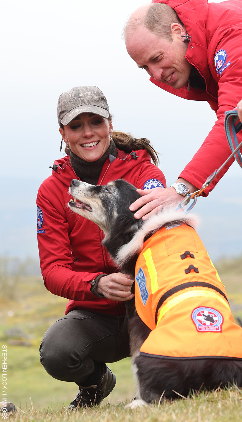 William and Kate pet a mountain rescue dog