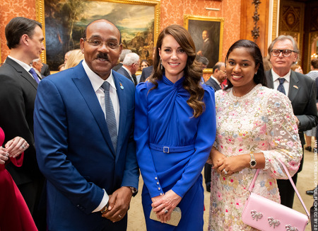 Kate Middleton wows in blue Self-Portrait dress at palace reception