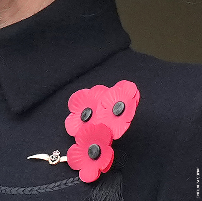 A detailed image of a three-petal red poppy brooch with black centres, pinned to a dark coat, symbolising remembrance and honour.