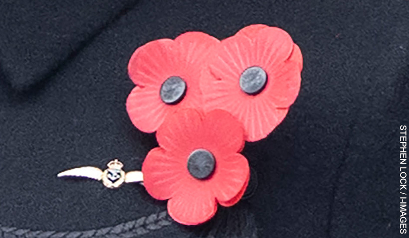 A detailed image of a three-petal red poppy brooch with black centres, pinned to a dark coat, symbolising remembrance and honour.