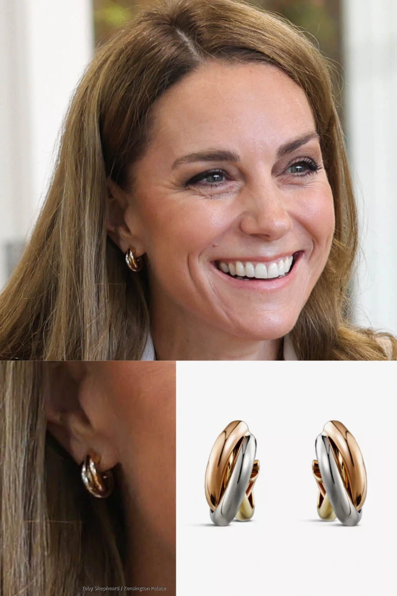 【Cartier】Trinity Earrings White GoldPink Yellow カルティエ CARTIER 18K Pink Yellow White Gold Small Trinity Earrings