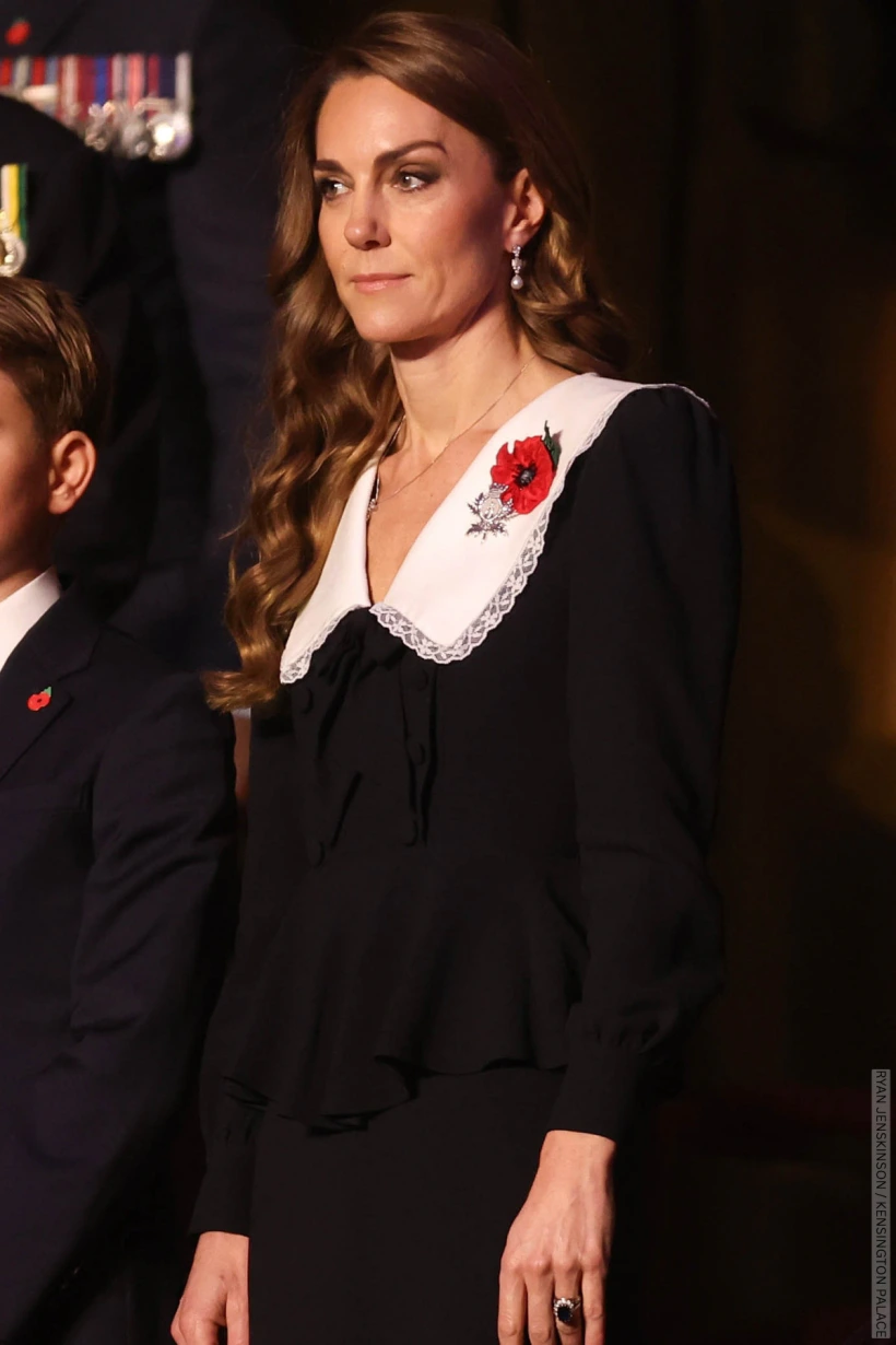 navy blue velour dress Alex Evenings