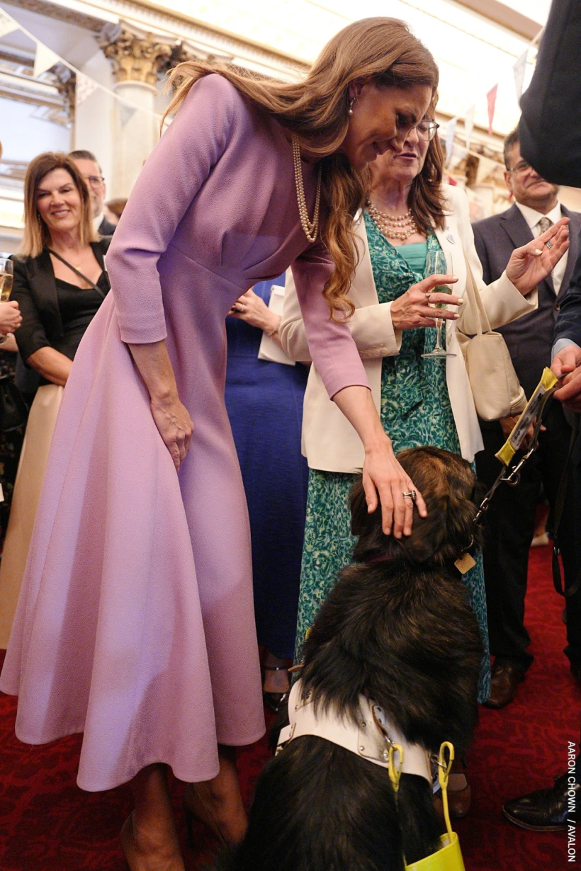 queen elizabeth purple dress Fashion Highlight: Perfect in Purple : r/RoyalsGossip