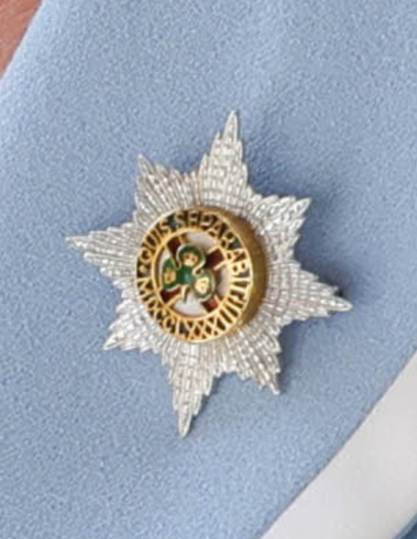 The silver Irish Guards regimental brooch pinned to the Princess of Wales's powder blue coat